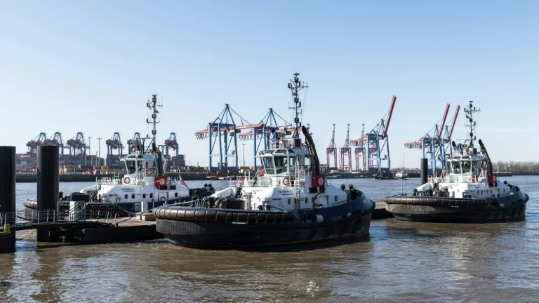 pexels-wolfgang-weiser-467045605-33355696